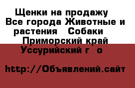 Щенки на продажу - Все города Животные и растения » Собаки   . Приморский край,Уссурийский г. о. 